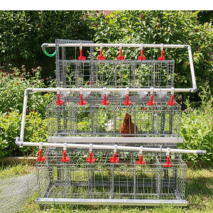 Kandang Petelur Full Set 3 Tingkat Kapasitas 18 Ekor Ayam | Best Seller - 18 Ekor